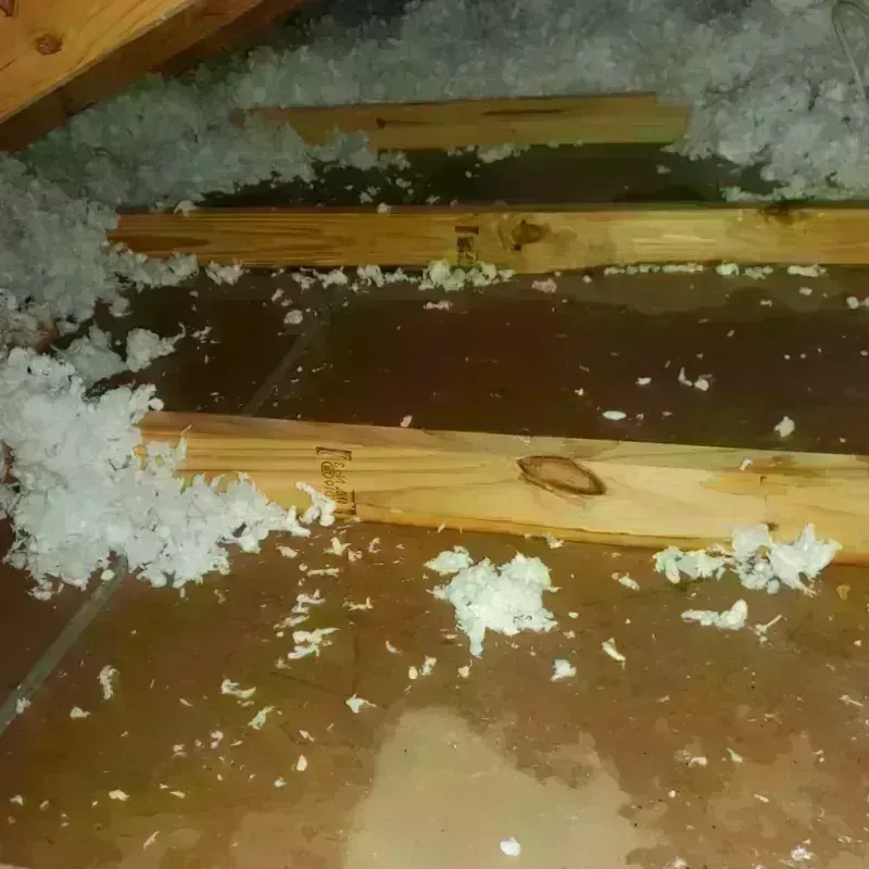 Attic Water Damage in Waverly, TN