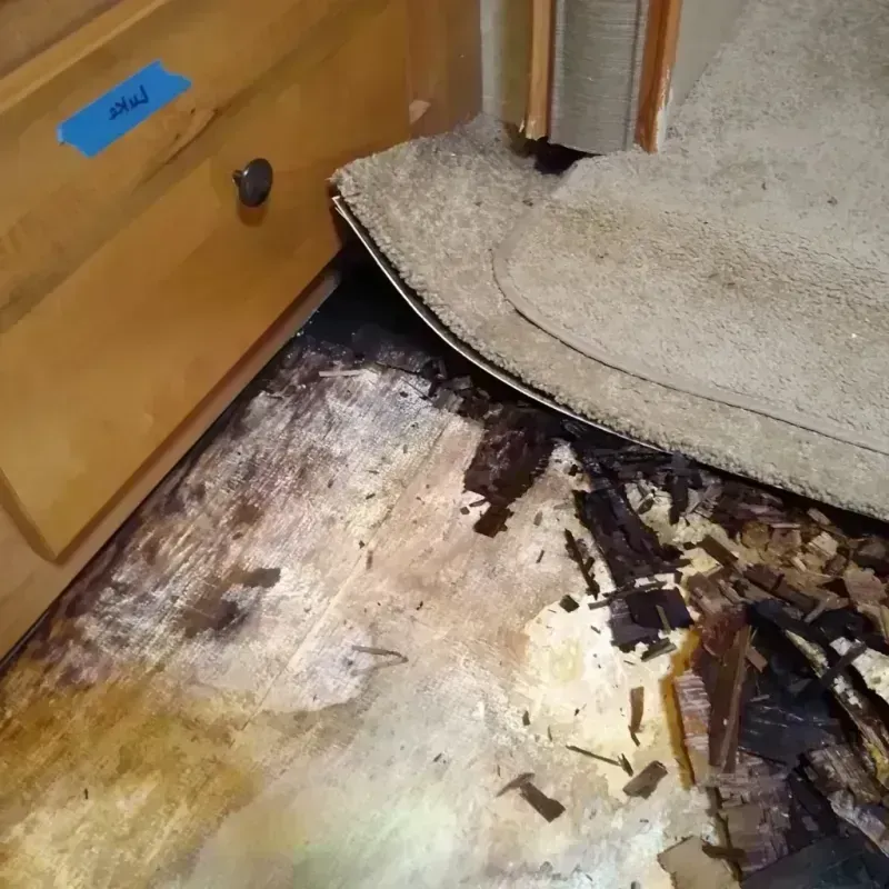 Wood Floor Water Damage in Waverly, TN